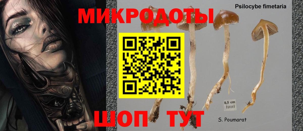 Галлюциногенные грибы мицелий  Вход с VPN  Тольятти  Псилоцибиновые грибы MAGIC MUSHROOMS 