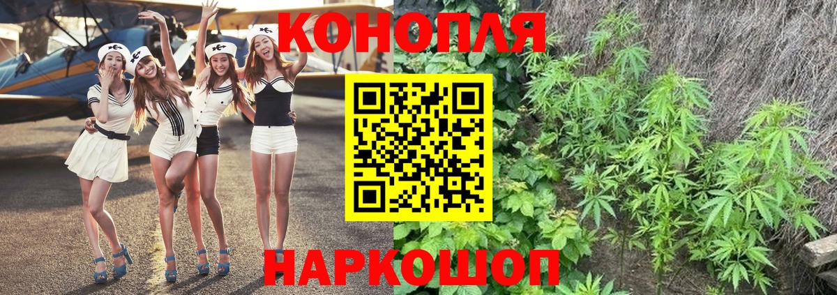 Каннабис гибрид  Канабис индика  Каннабис OG Kush  Конопля марихуана  Вход с VPN  Тольятти 